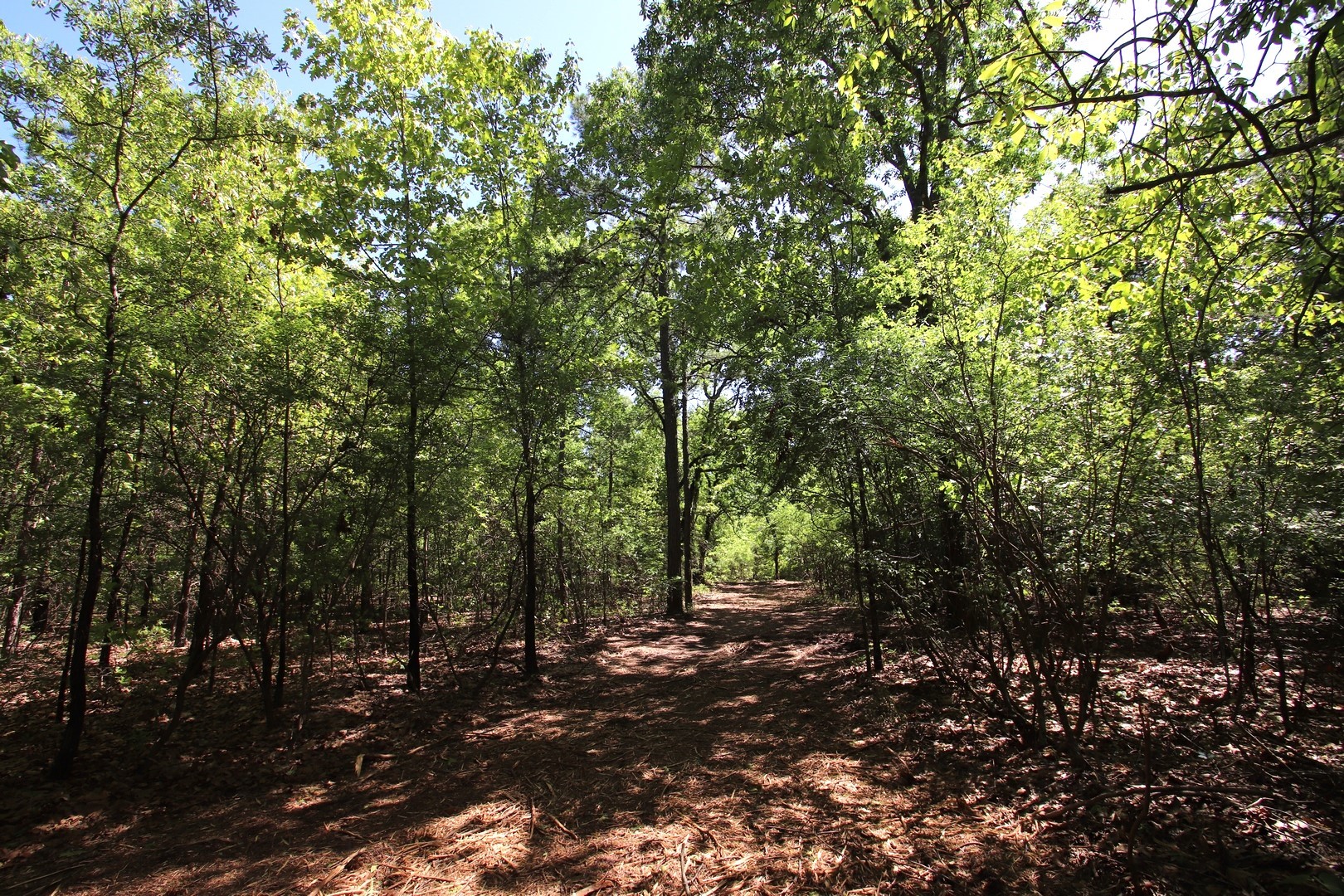Tbd Cr 4552 Winnsboro TX 75494