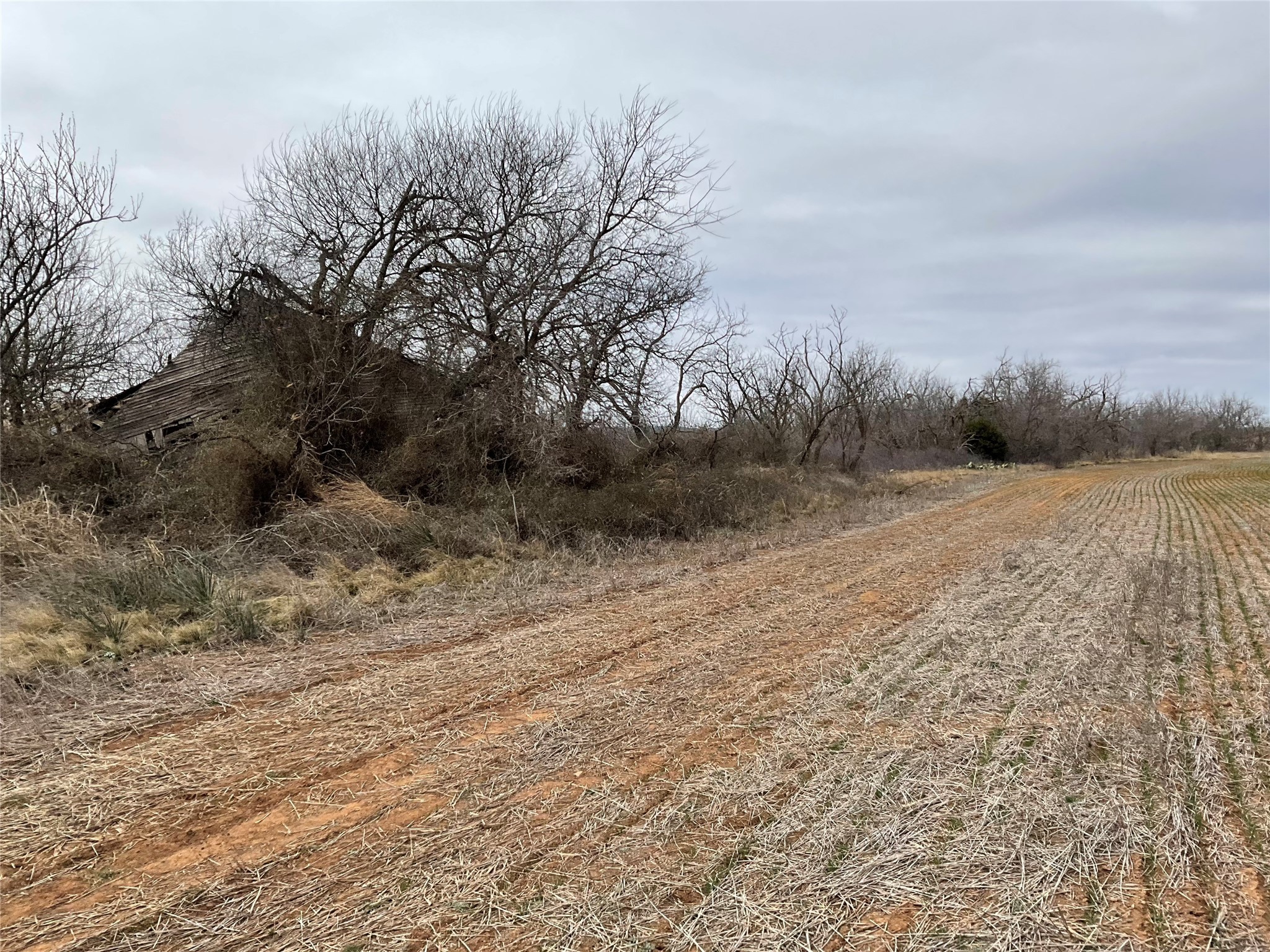 Tba Fm 2405 Ovalo TX 79541