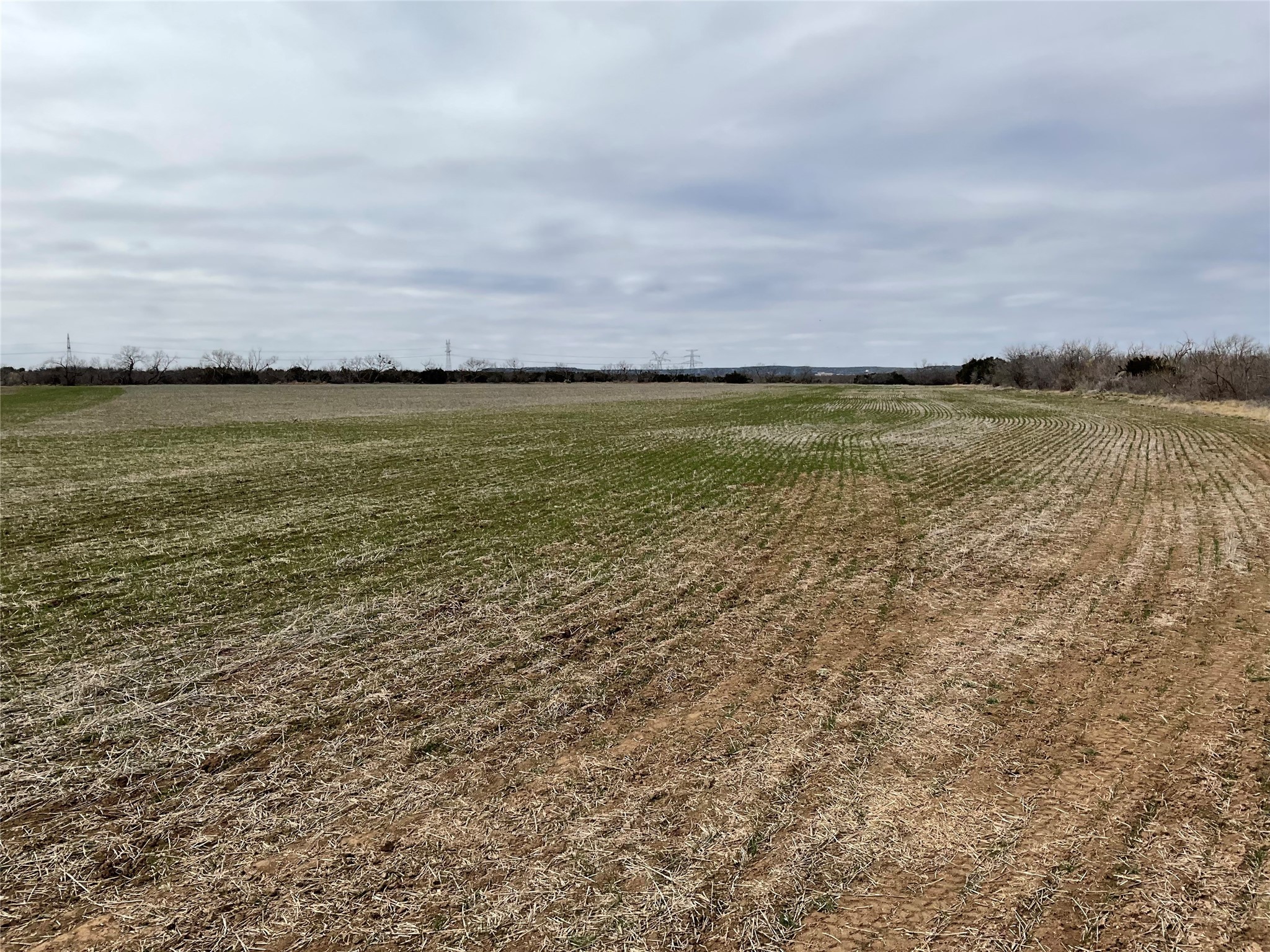 Tba Fm 2405 Ovalo TX 79541