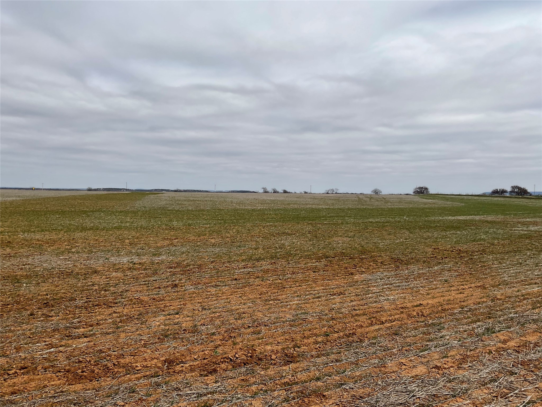 Tba Fm 2405 Ovalo TX 79541