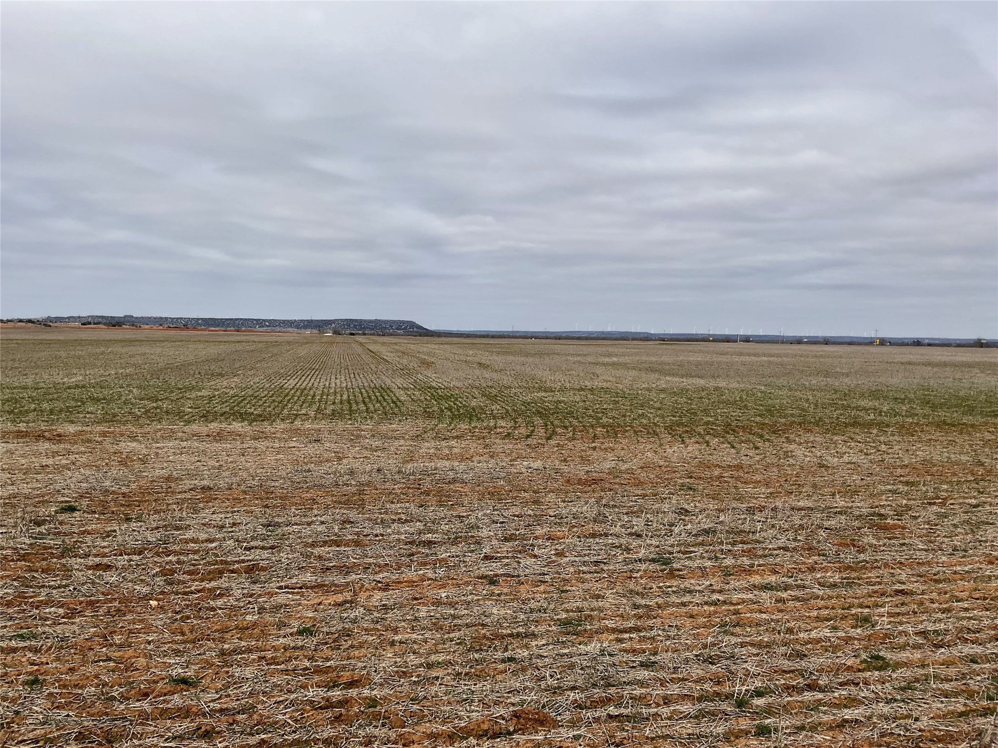 Tba Fm 2405 Ovalo TX 79541