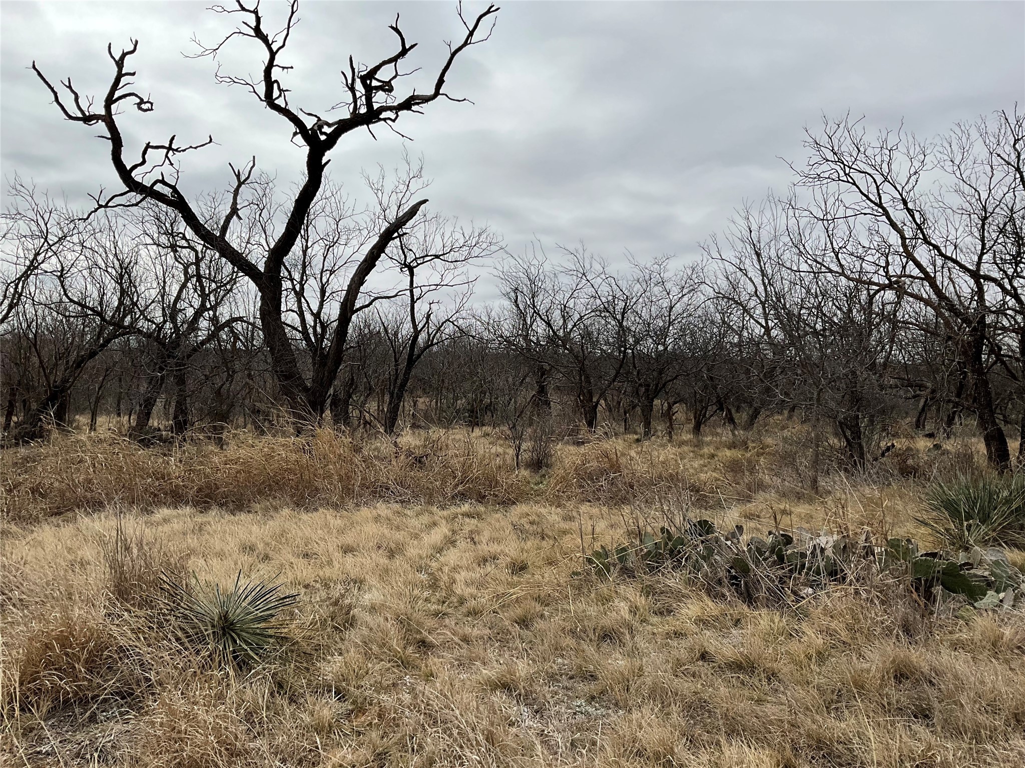 Tba Fm 2405 Ovalo TX 79541