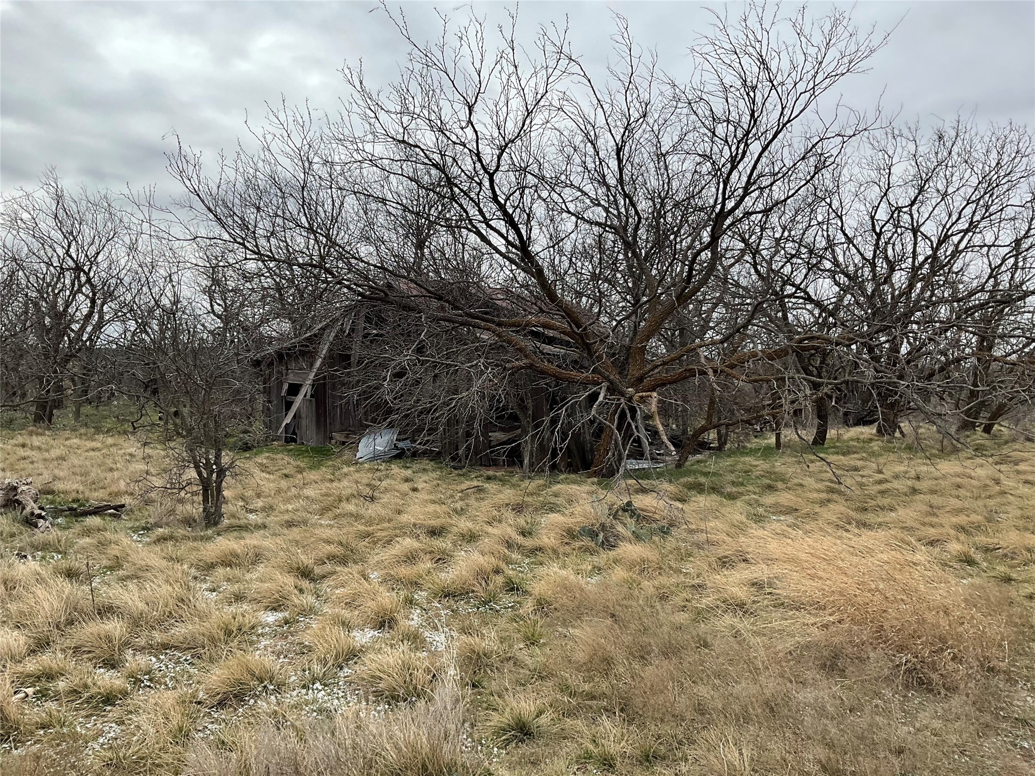 Tba Fm 2405 Ovalo TX 79541