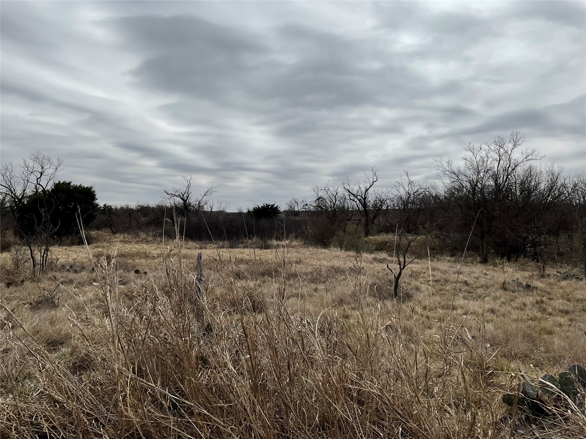 Tba Fm 2405 Ovalo TX 79541