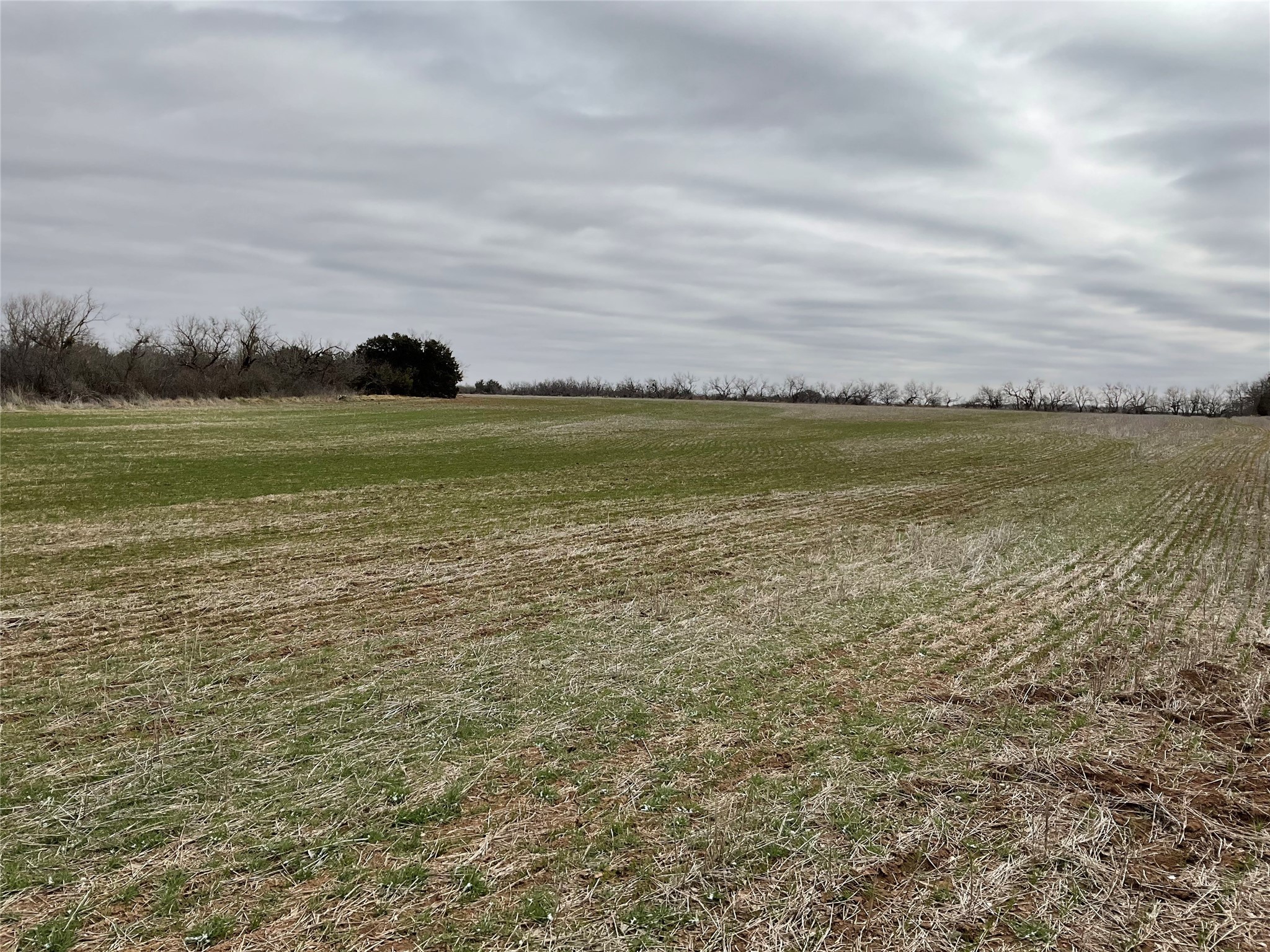 Tba Fm 2405 Ovalo TX 79541