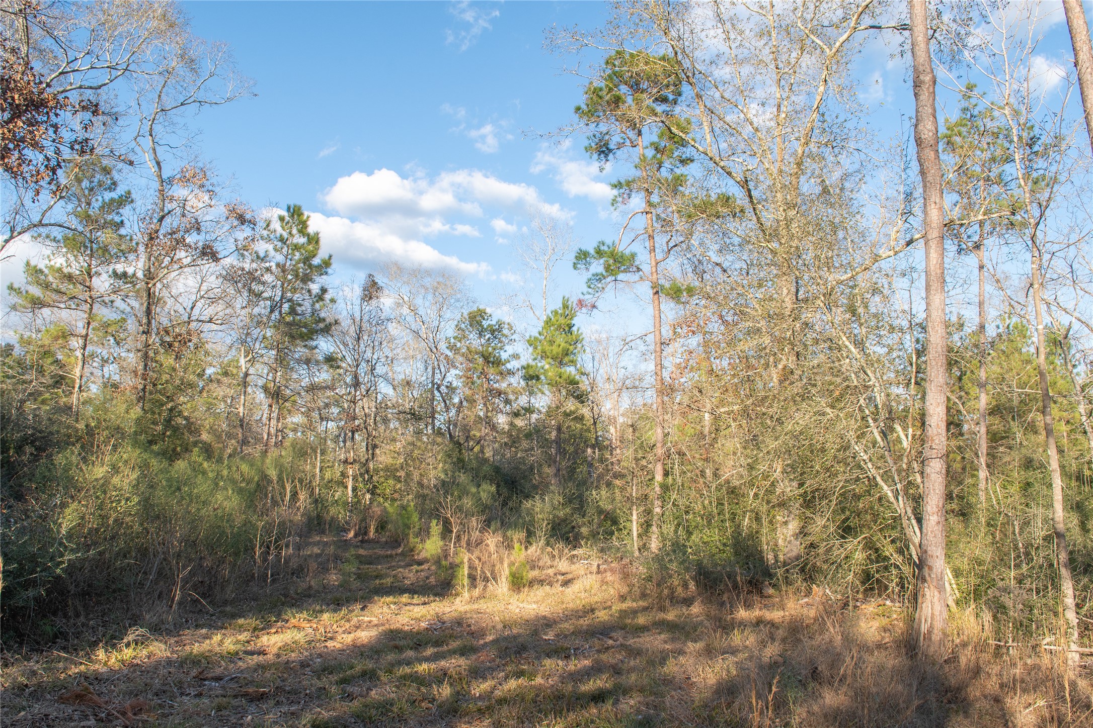 0 Chatfield Road Livingston TX 77351