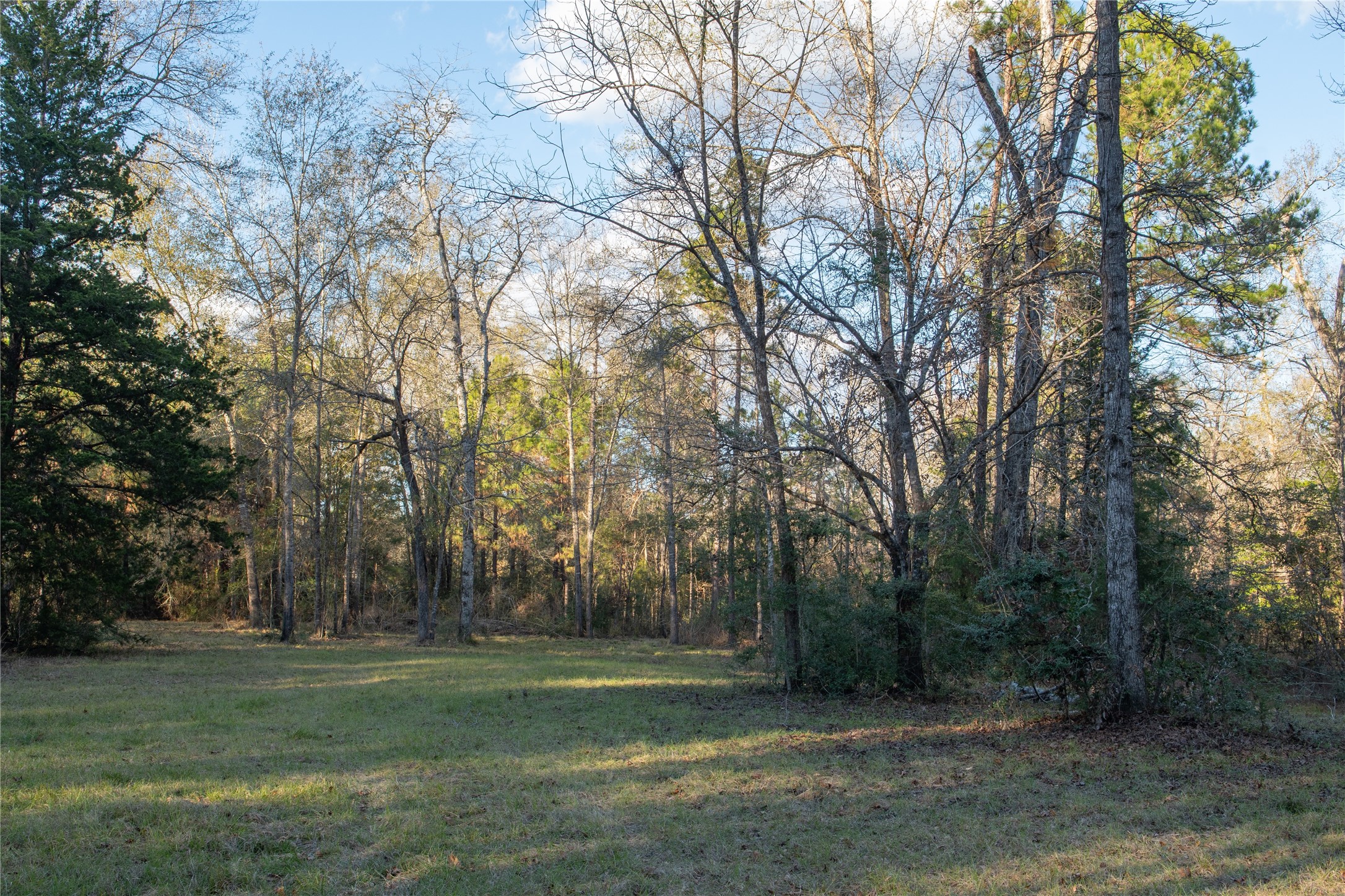 0 Chatfield Road Livingston TX 77351