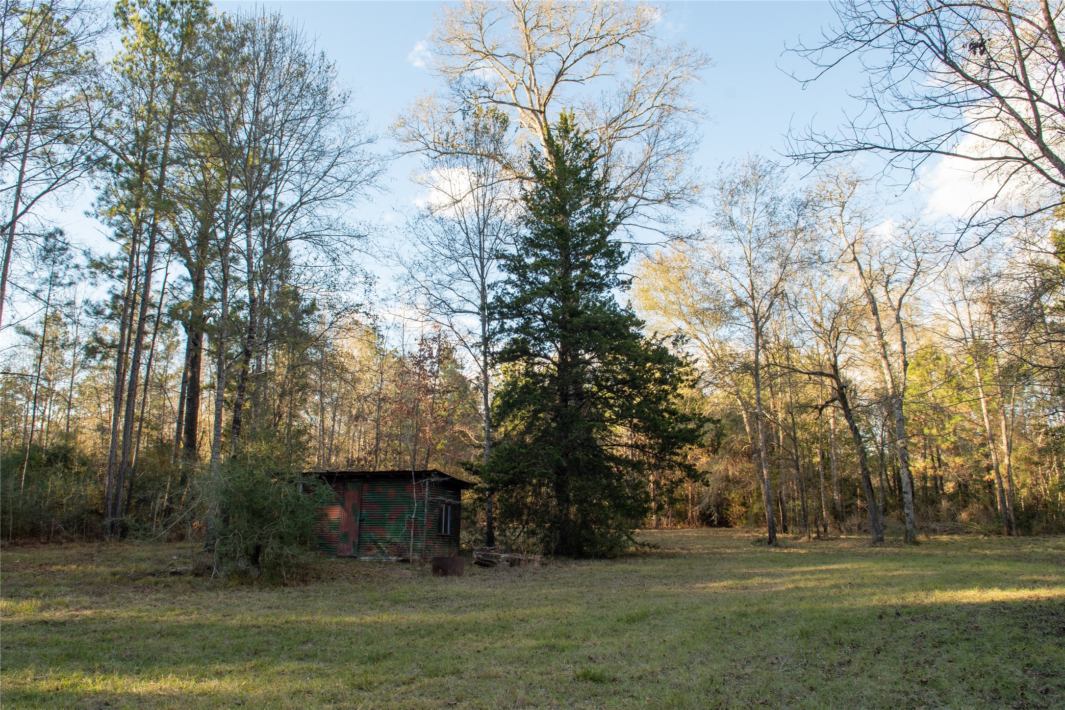 0 Chatfield Road Livingston TX 77351