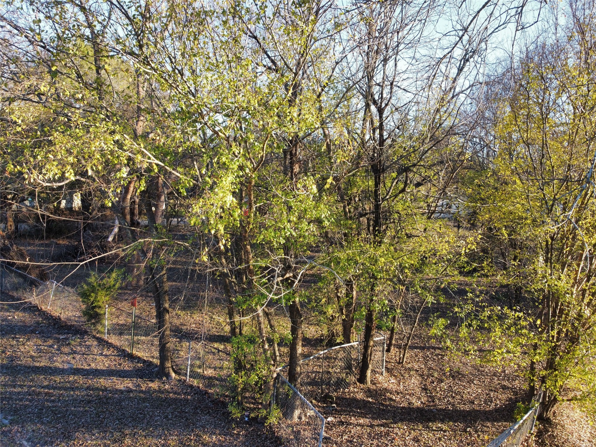 330 E Waco Avenue Cooper TX 75432