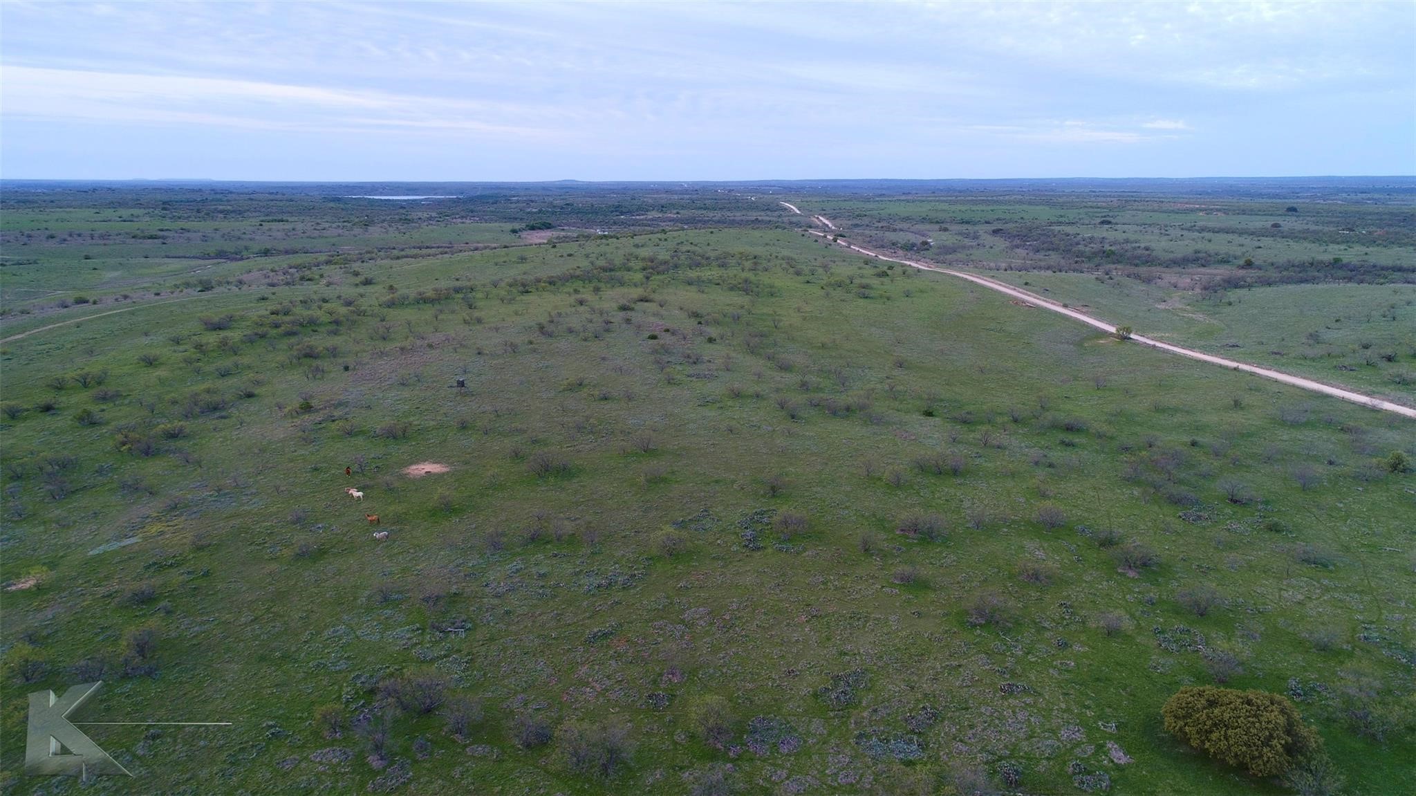 Tbd Cr 247 Oplin TX 79510