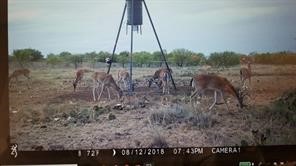 Tbd Cr 247 Oplin TX 79510