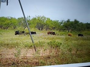 Tbd Cr 247 Oplin TX 79510