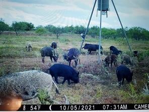 Tbd Cr 247 Oplin TX 79510