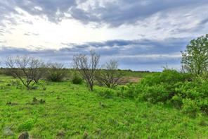 Tbd Cr 247 Oplin TX 79510