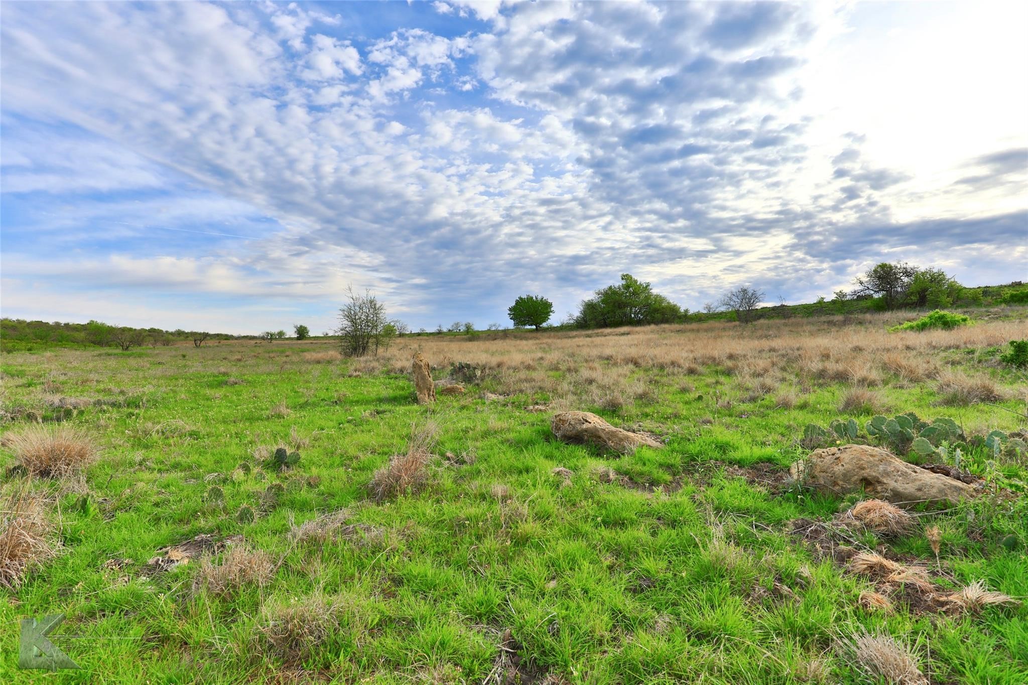 Tbd Cr 247 Oplin TX 79510