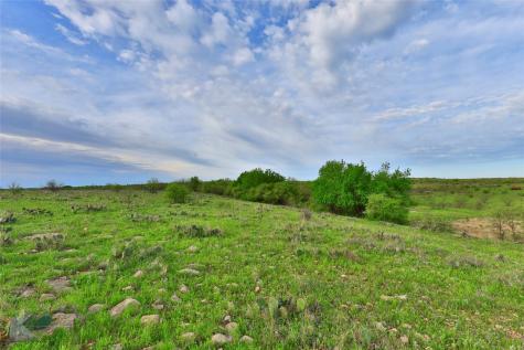 Tbd Cr 247 Oplin TX 79510
