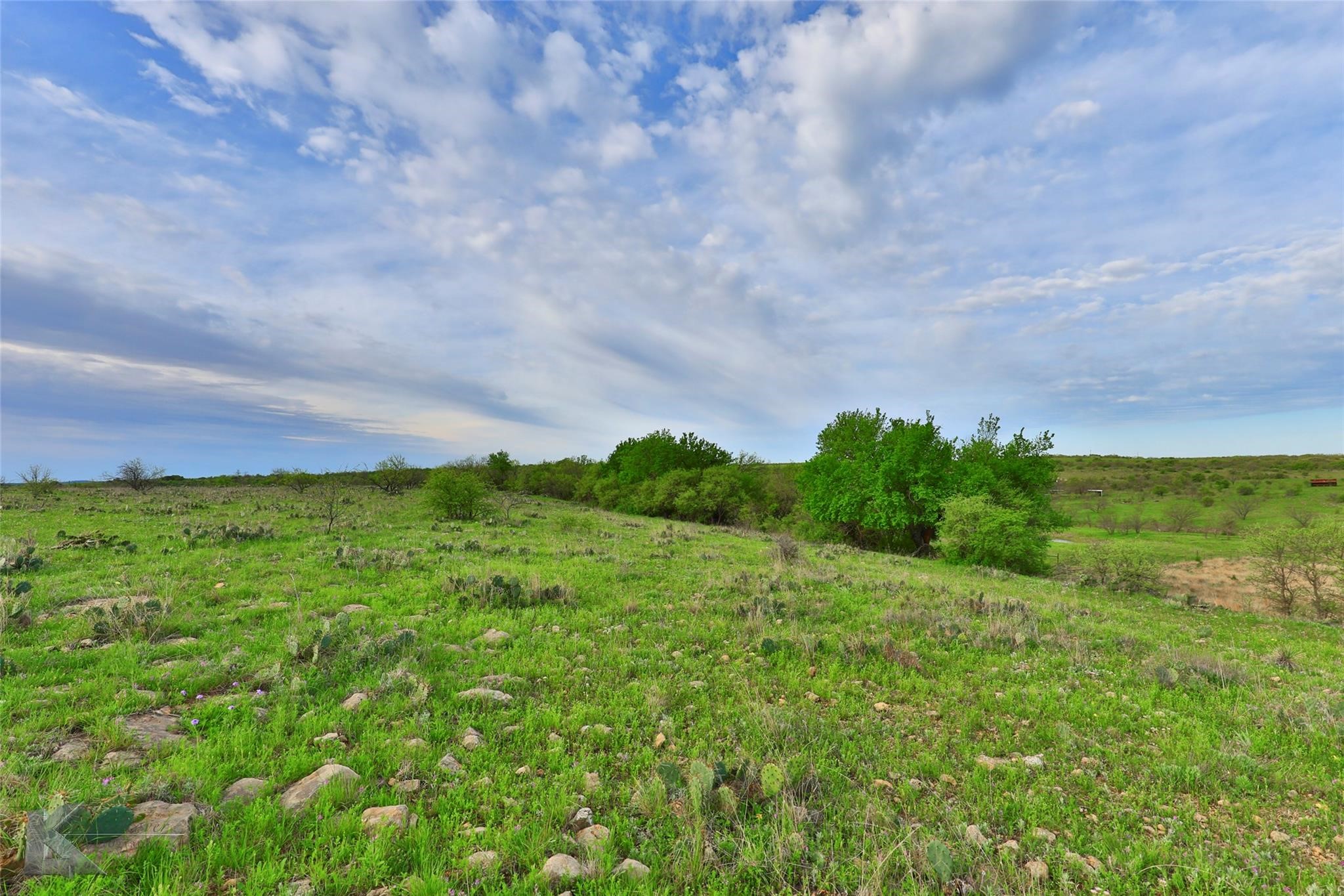 Tbd Cr 247 Oplin TX 79510