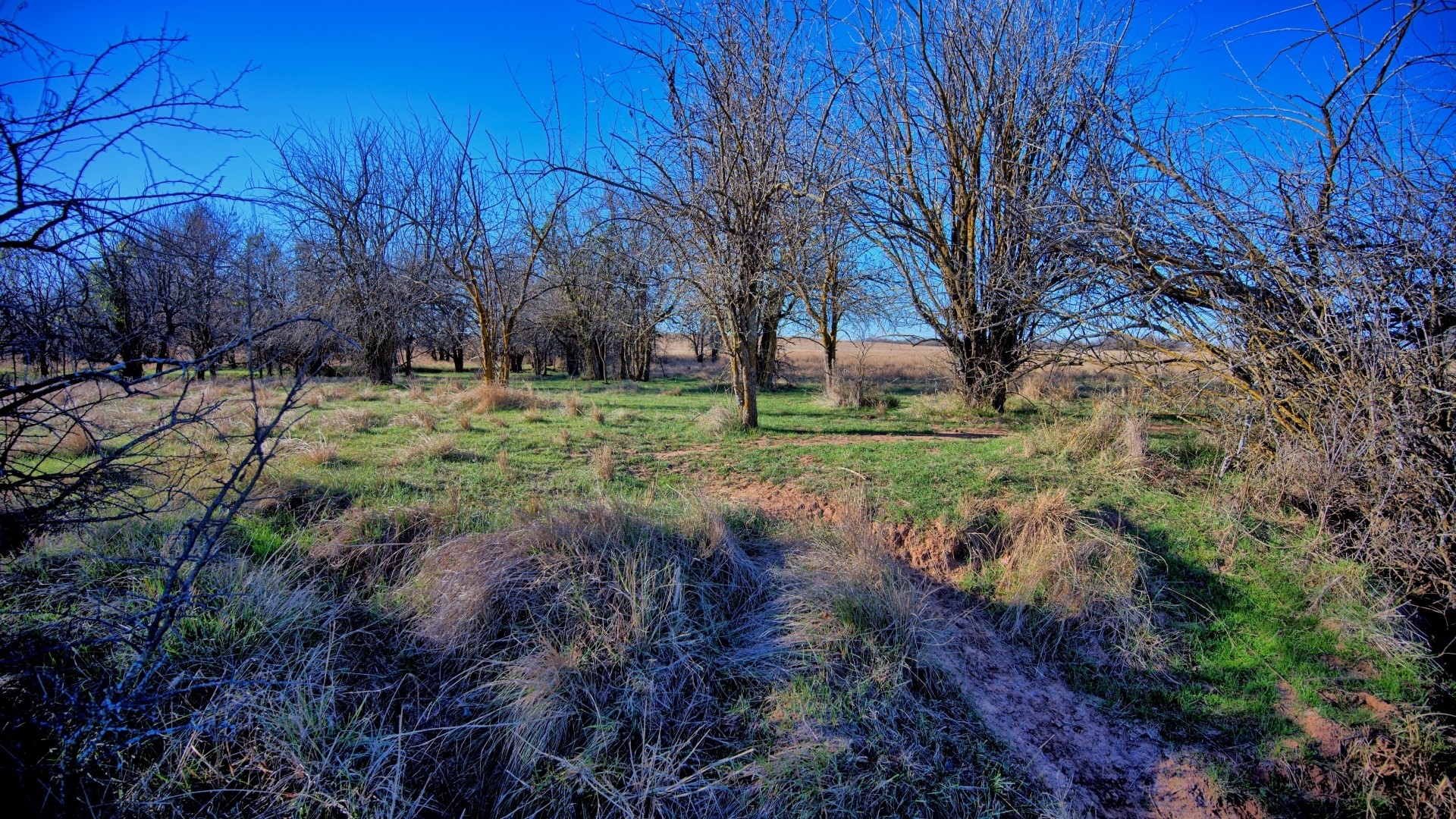 Tbd Highway 148 Petrolia TX 76377