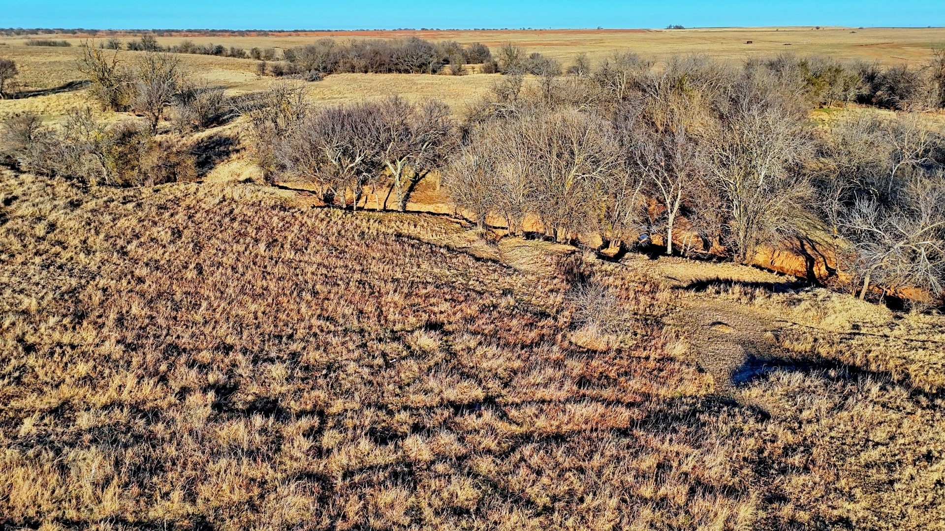 Tbd Highway 148 Petrolia TX 76377