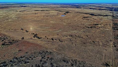 Tbd Highway 148 Petrolia TX 76377