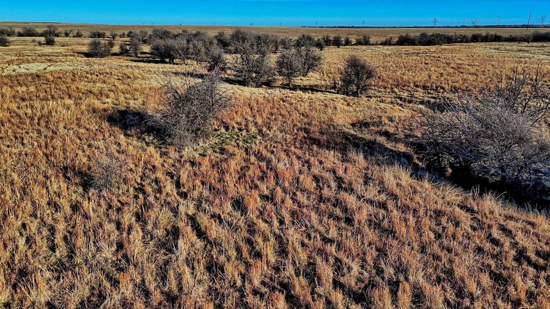 Tbd Highway 148 Petrolia TX 76377