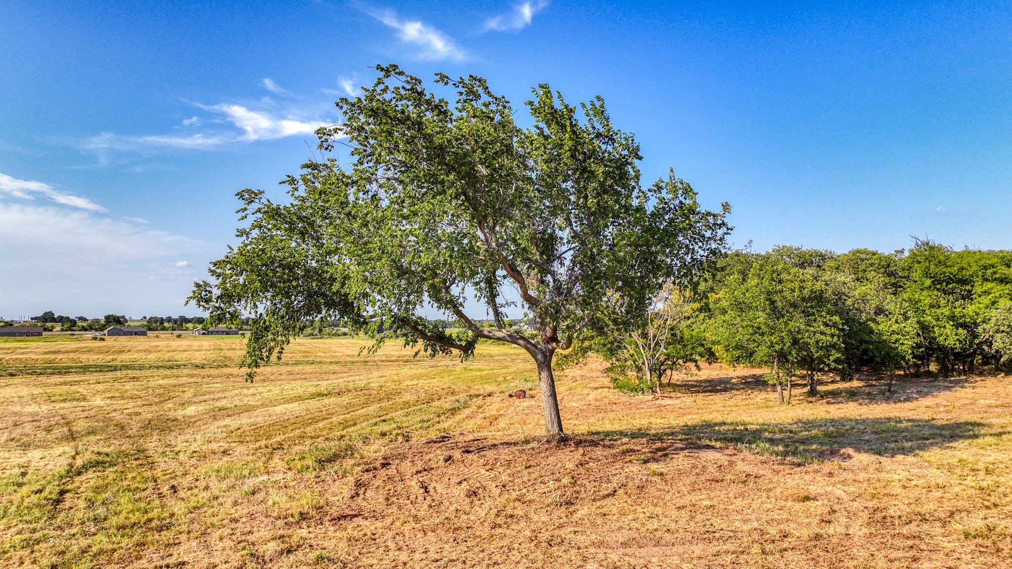 Lot 9/10 Three Quarter Loop Poolville TX 76487