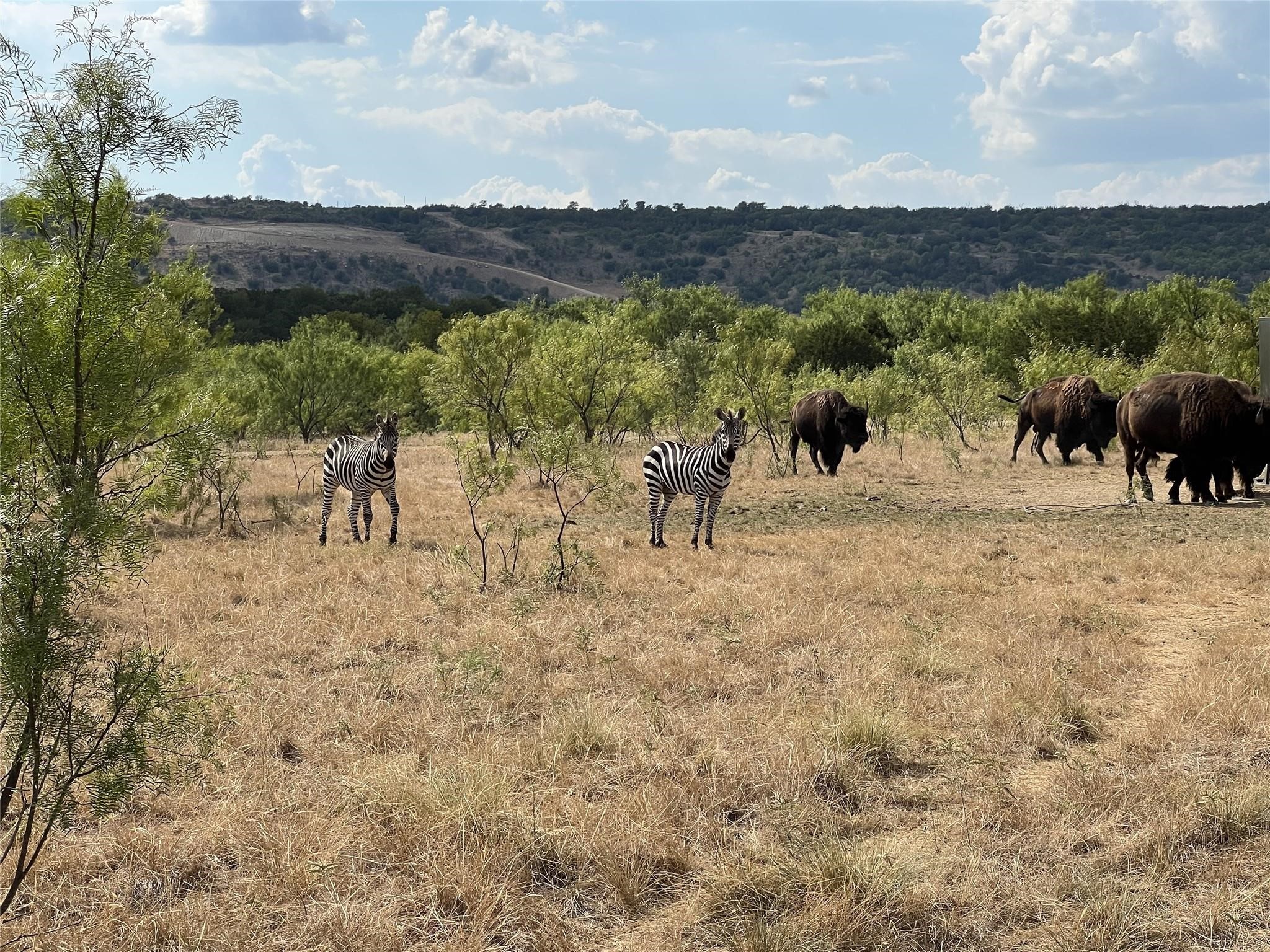 Tbd 2 Armstrong Alley Strawn TX 76475