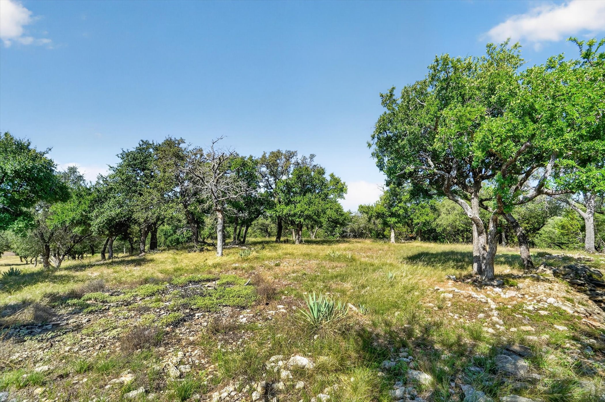 Tbd 2 Armstrong Alley Strawn TX 76475
