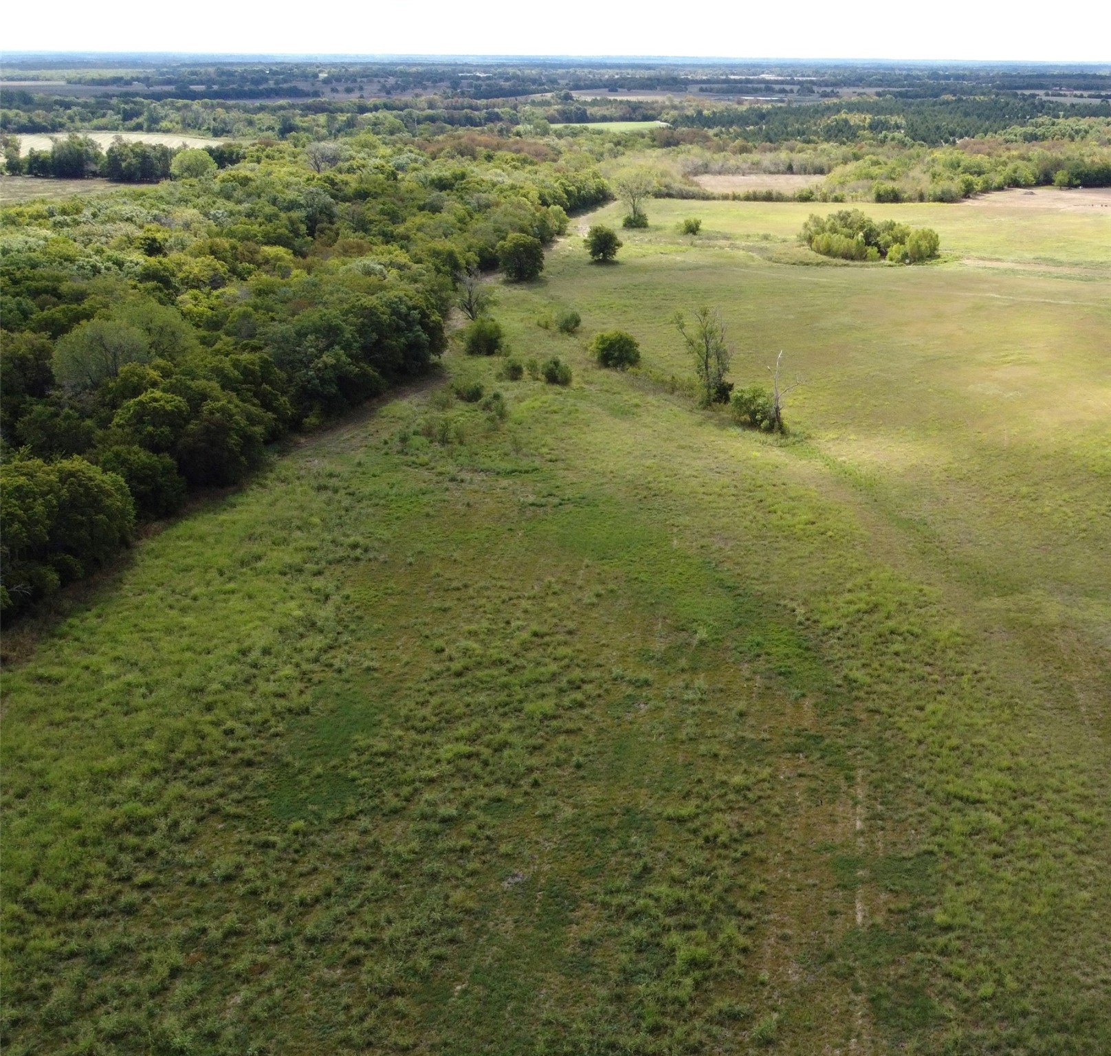 Tbd Cr 2068 Klondike TX 75448