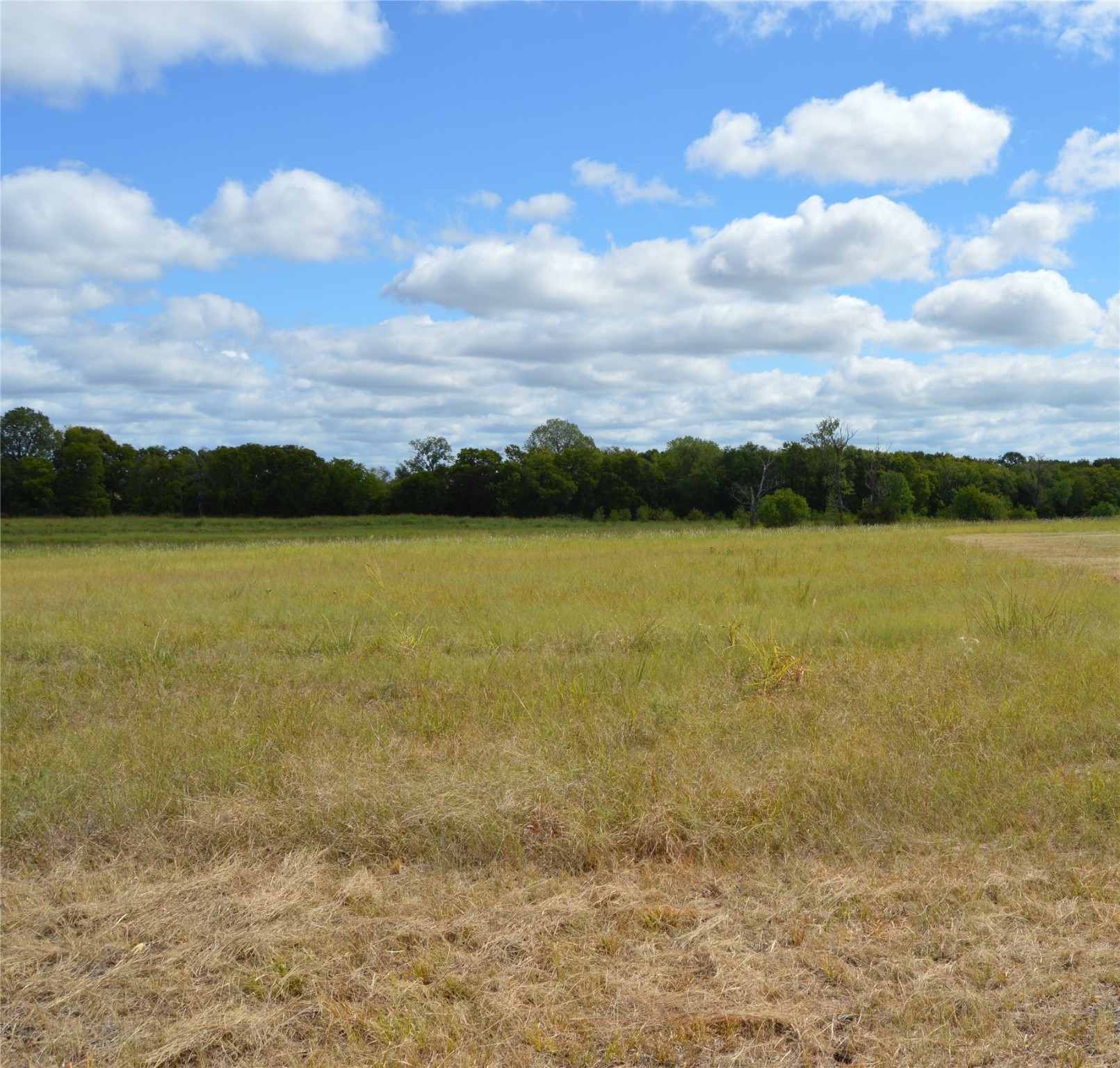 Tbd Cr 2068 Klondike TX 75448