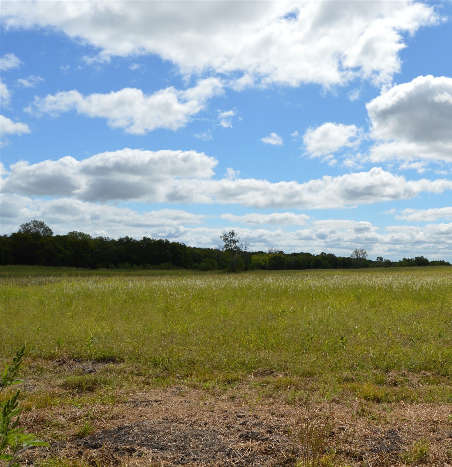 Tbd Cr 2068 Klondike TX 75448