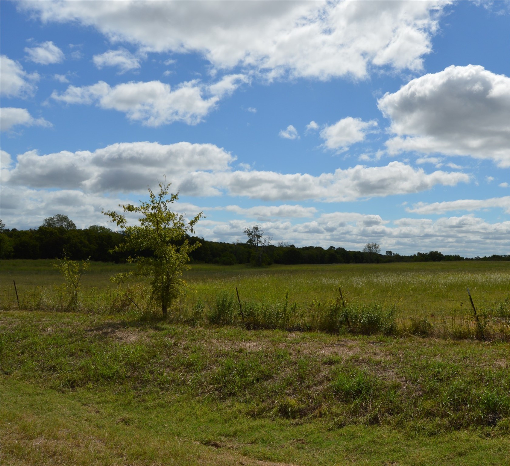 Tbd Cr 2068 Klondike TX 75448