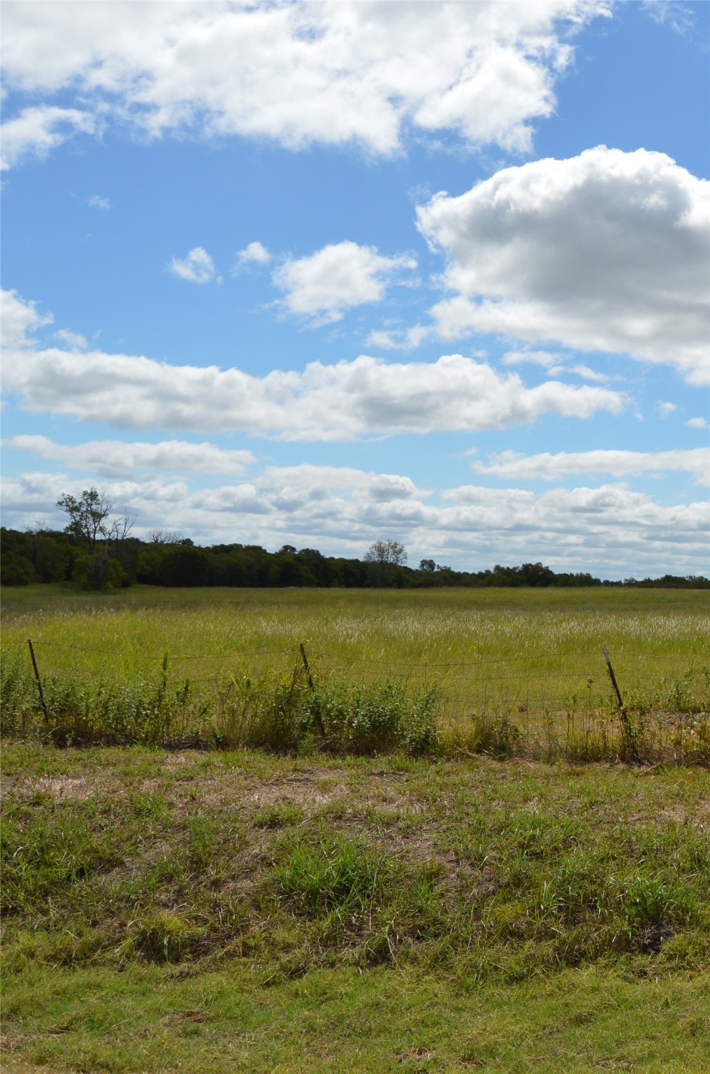 Tbd Cr 2068 Klondike TX 75448