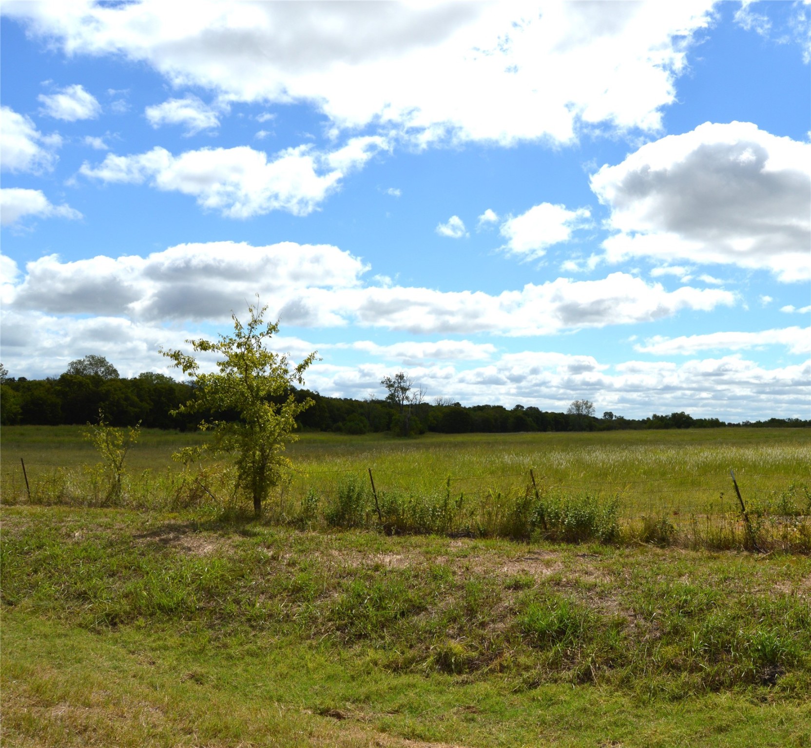 Tbd Cr 2068 Klondike TX 75448