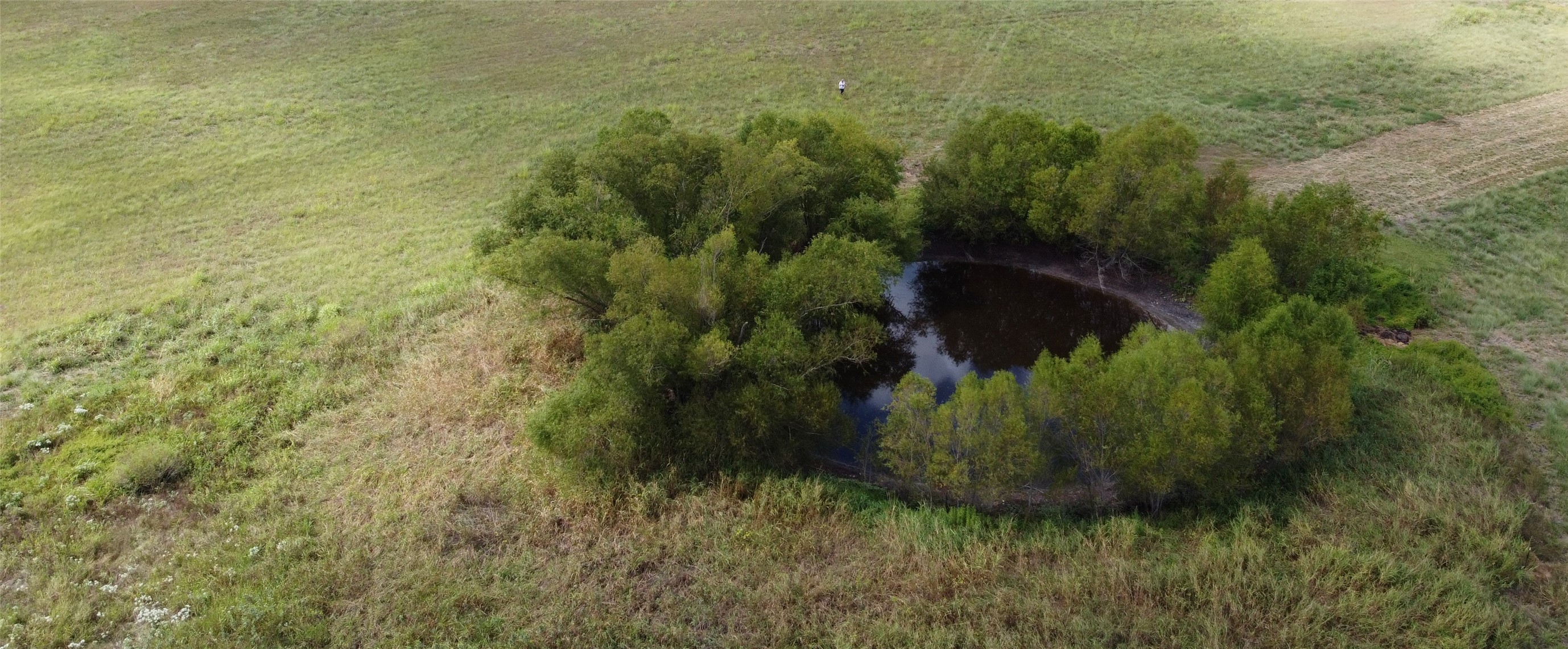 Tbd Cr 2068 Klondike TX 75448