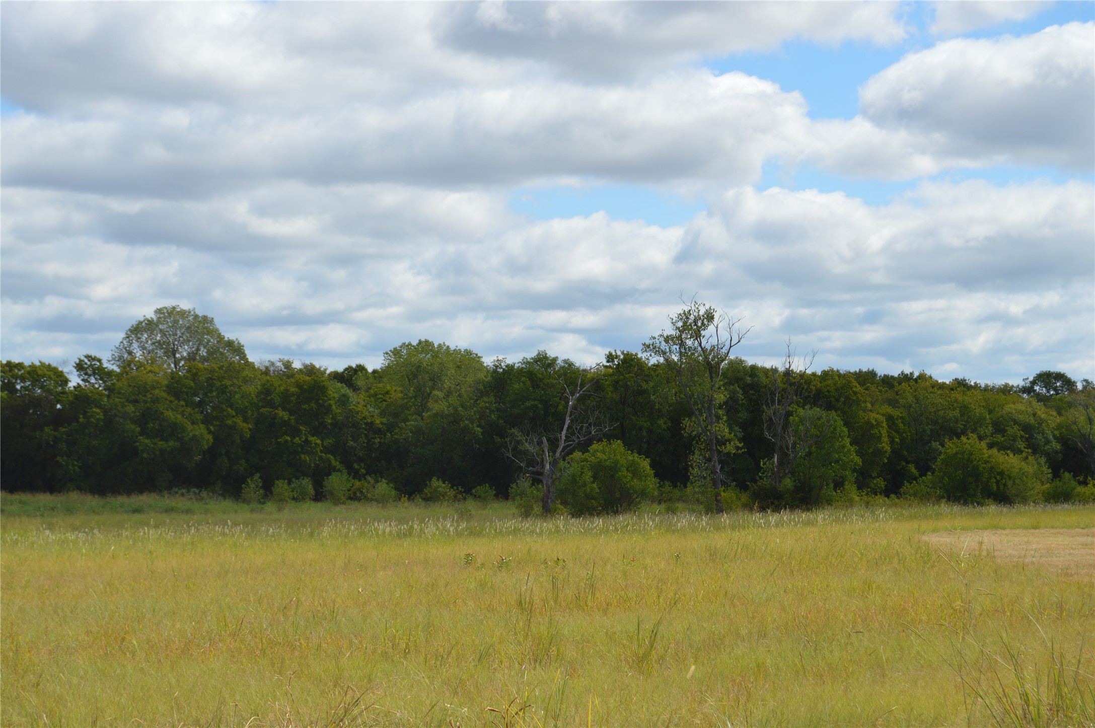 Tbd Cr 2068 Klondike TX 75448