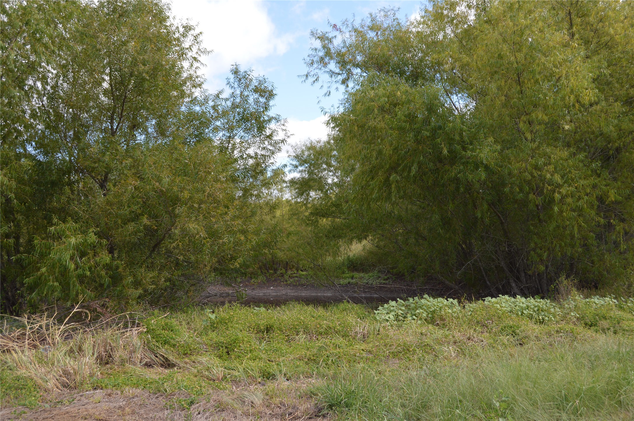 Tbd Cr 2068 Klondike TX 75448