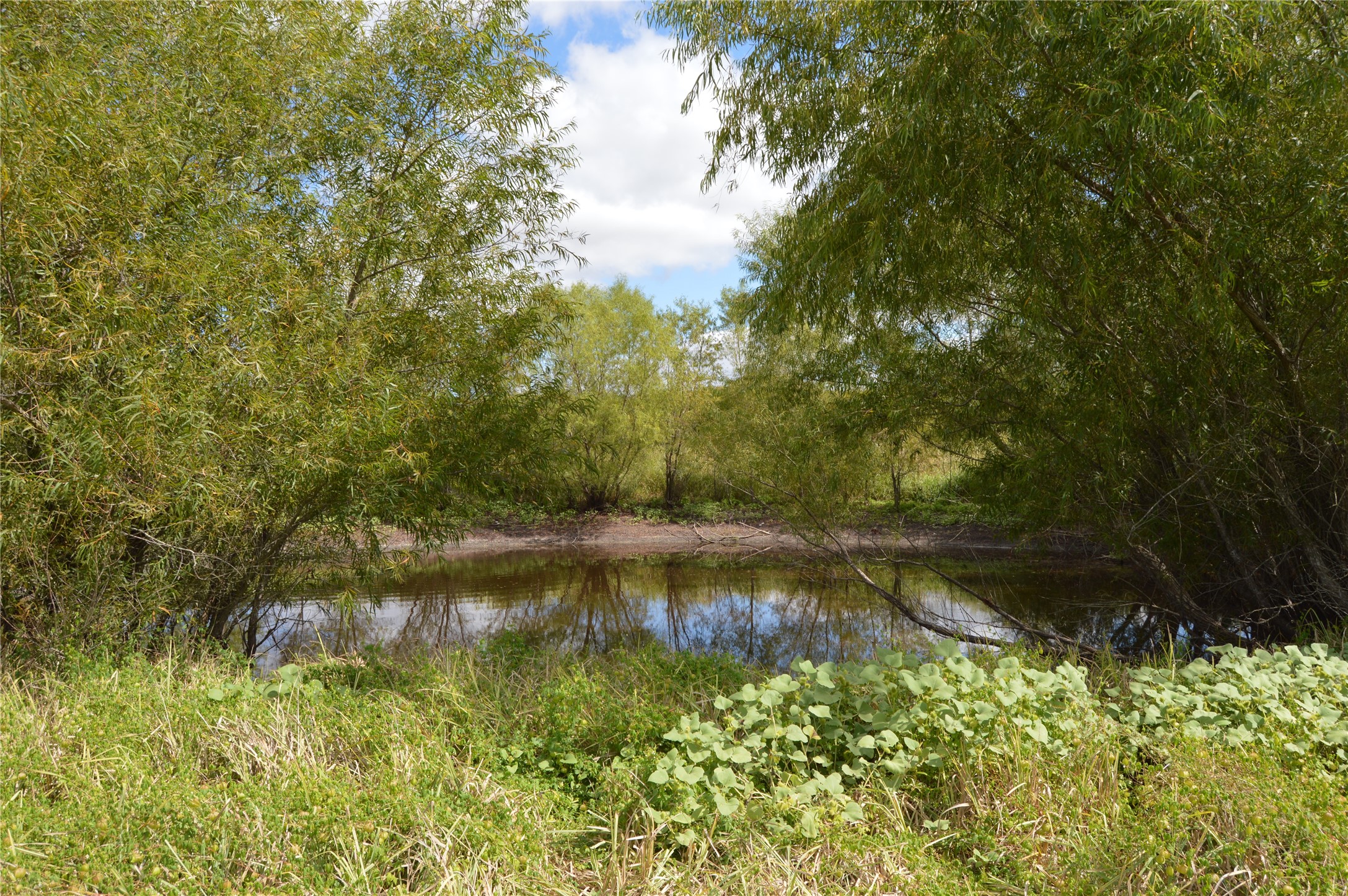 Tbd Cr 2068 Klondike TX 75448