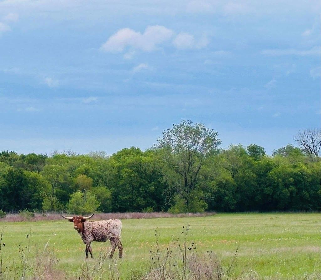 Tbd Cr 2068 Klondike TX 75448