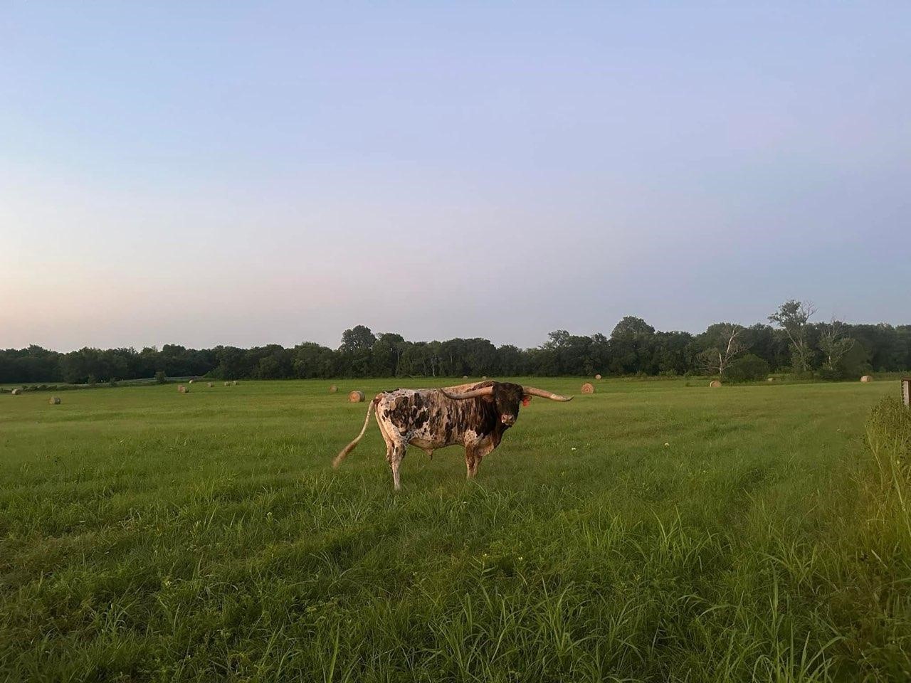 Tbd Cr 2068 Klondike TX 75448