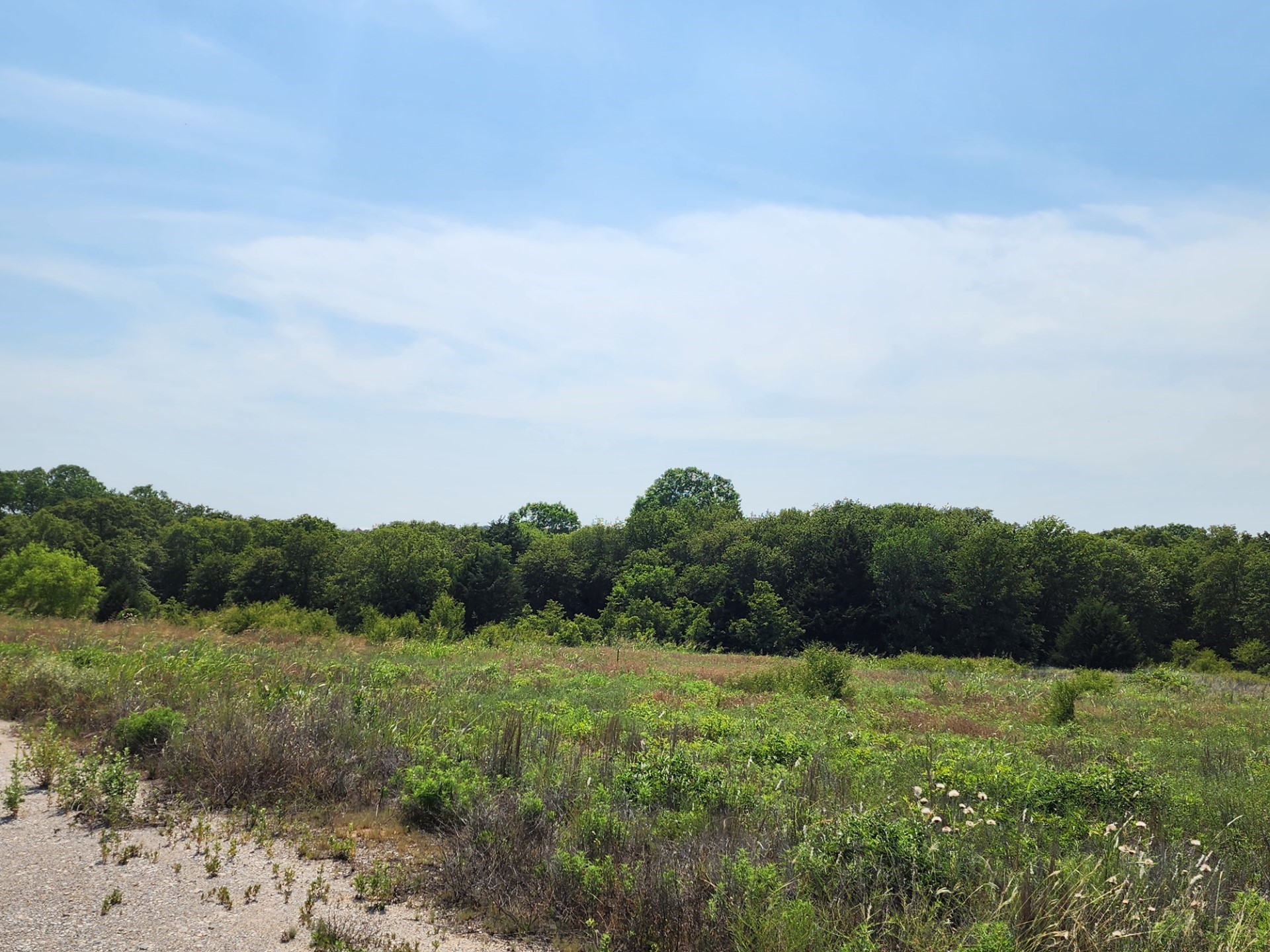 301 Timber Trail Alvord TX 76225