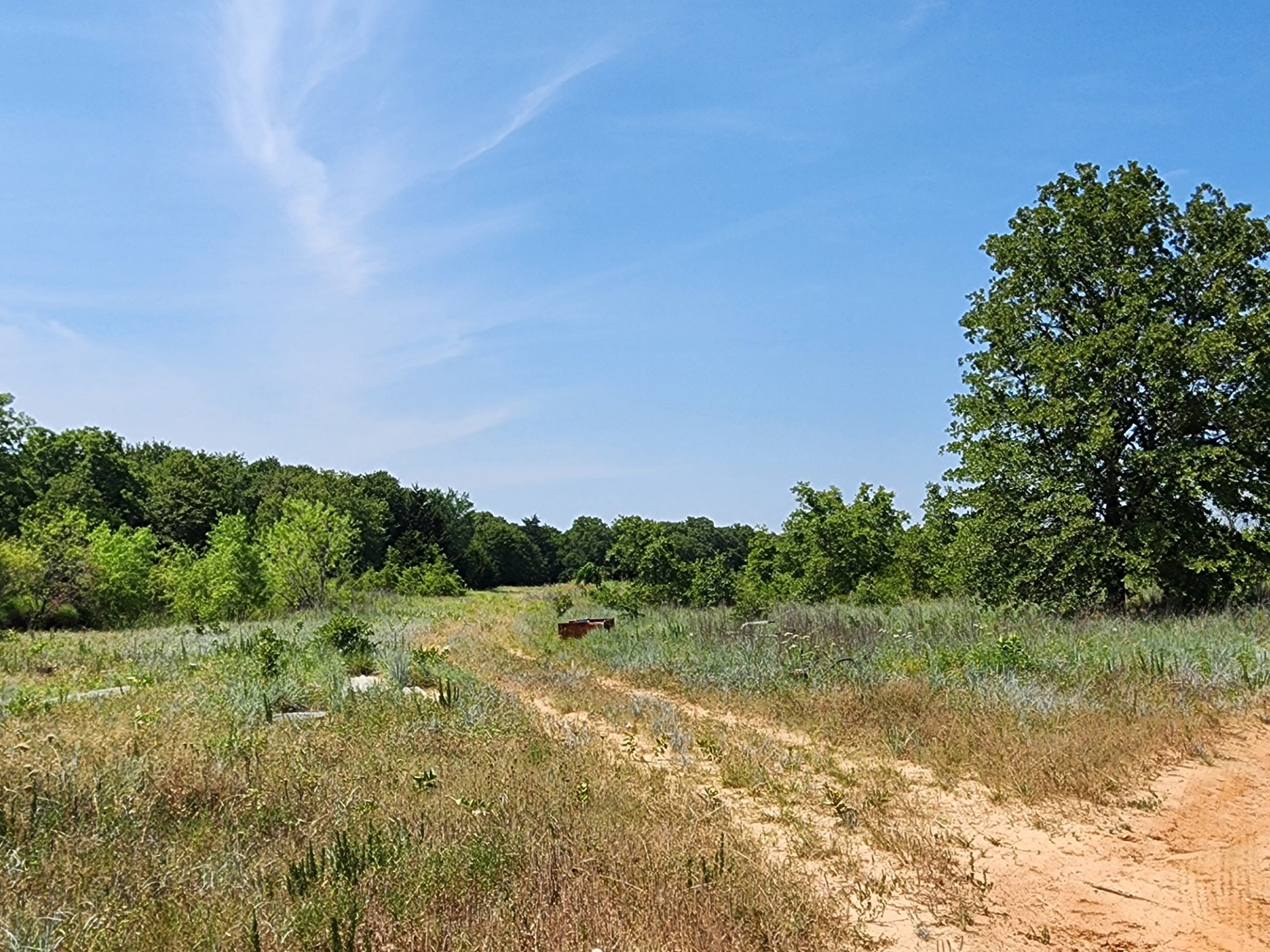301 Timber Trail Alvord TX 76225