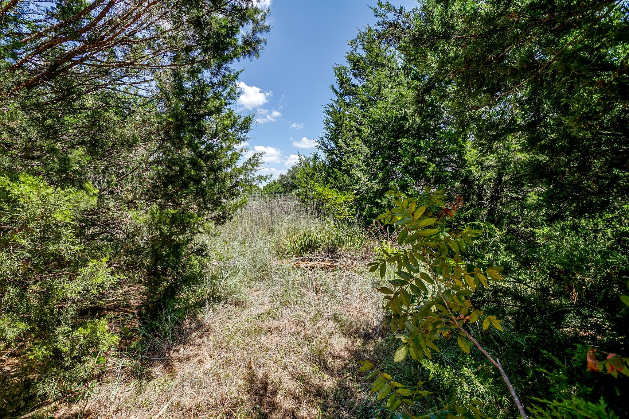2812 County Road 805b Keene TX 76031