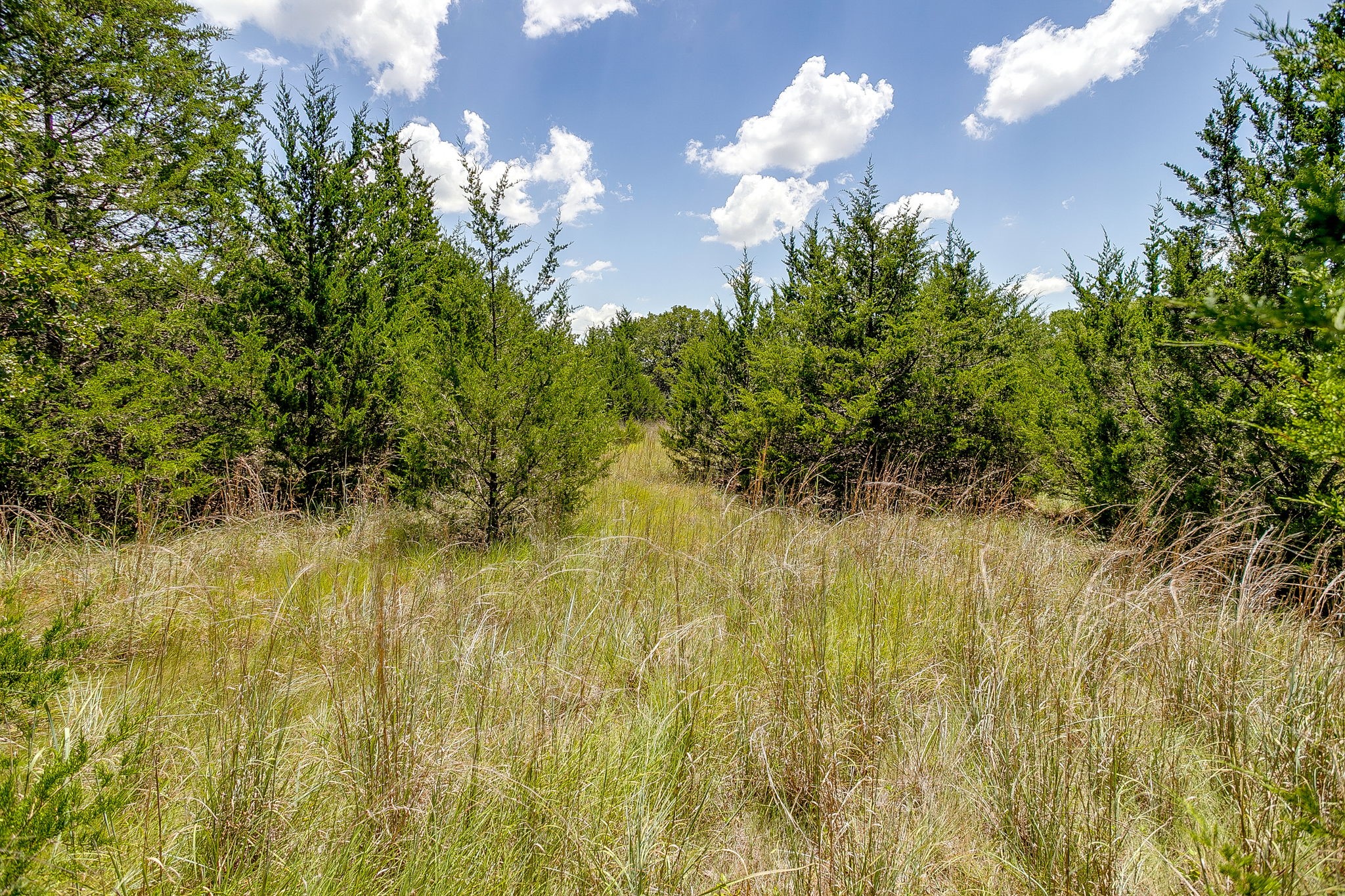 2812 County Road 805b Keene TX 76031