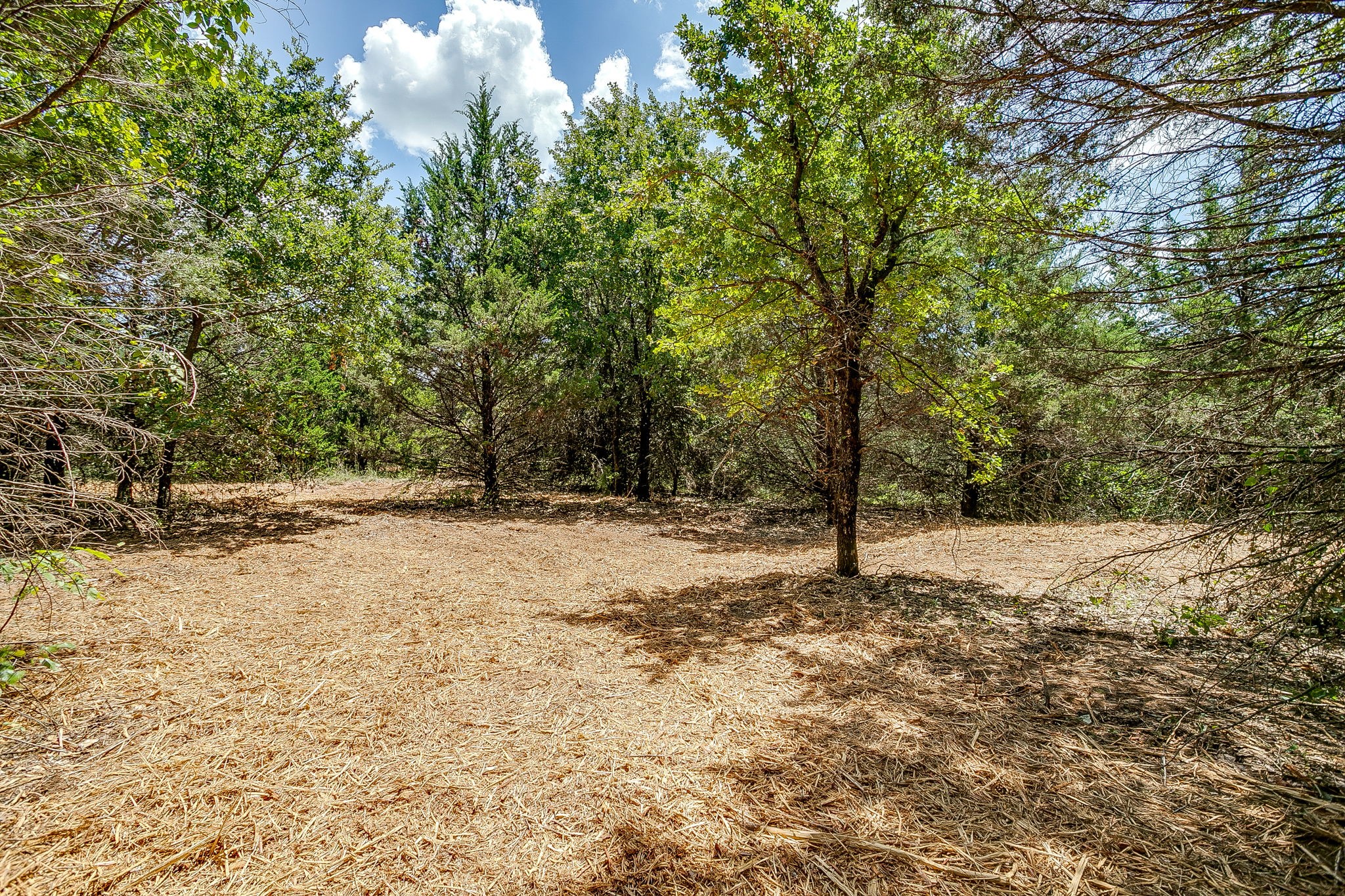 2812 County Road 805b Keene TX 76031