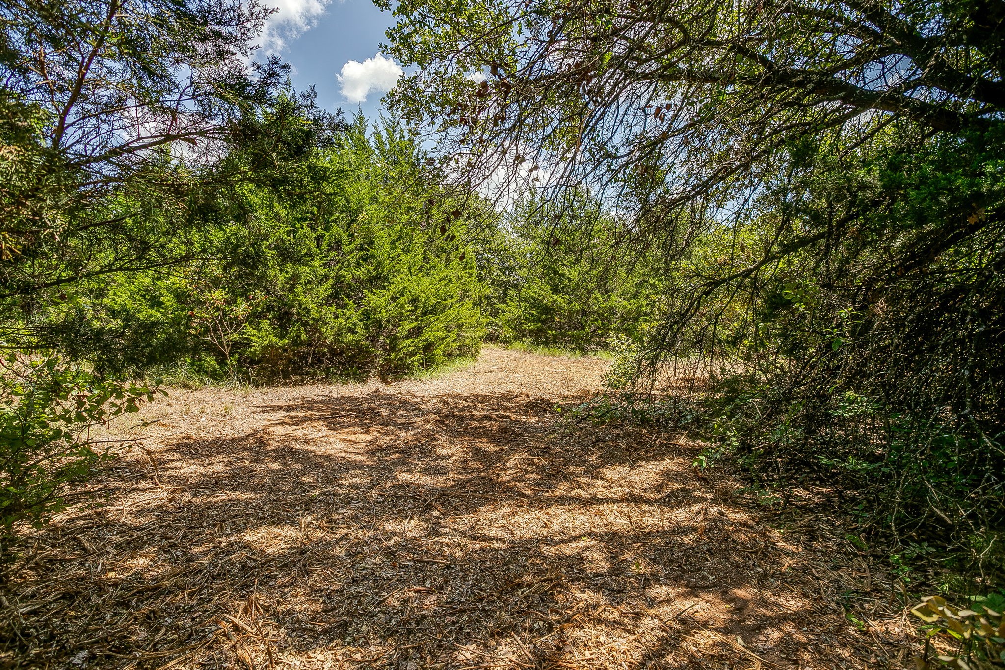 2812 County Road 805b Keene TX 76031
