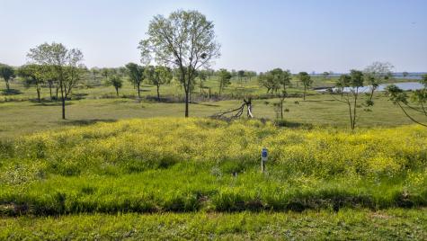 Lot 49 Chambers Bay Corsicana TX 75109