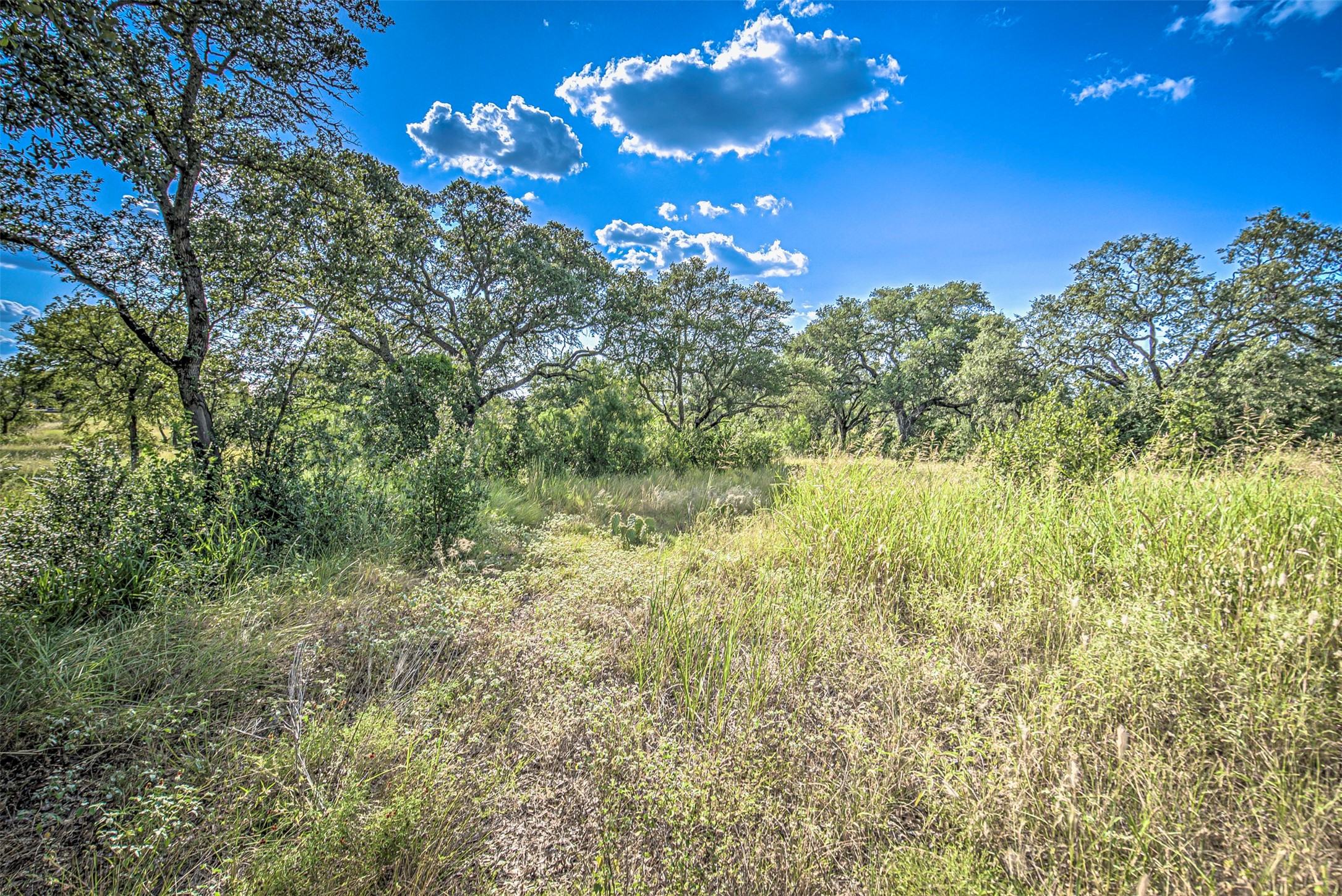 Lot 29-a Sierra Bluff Buchanan Dam TX 78609
