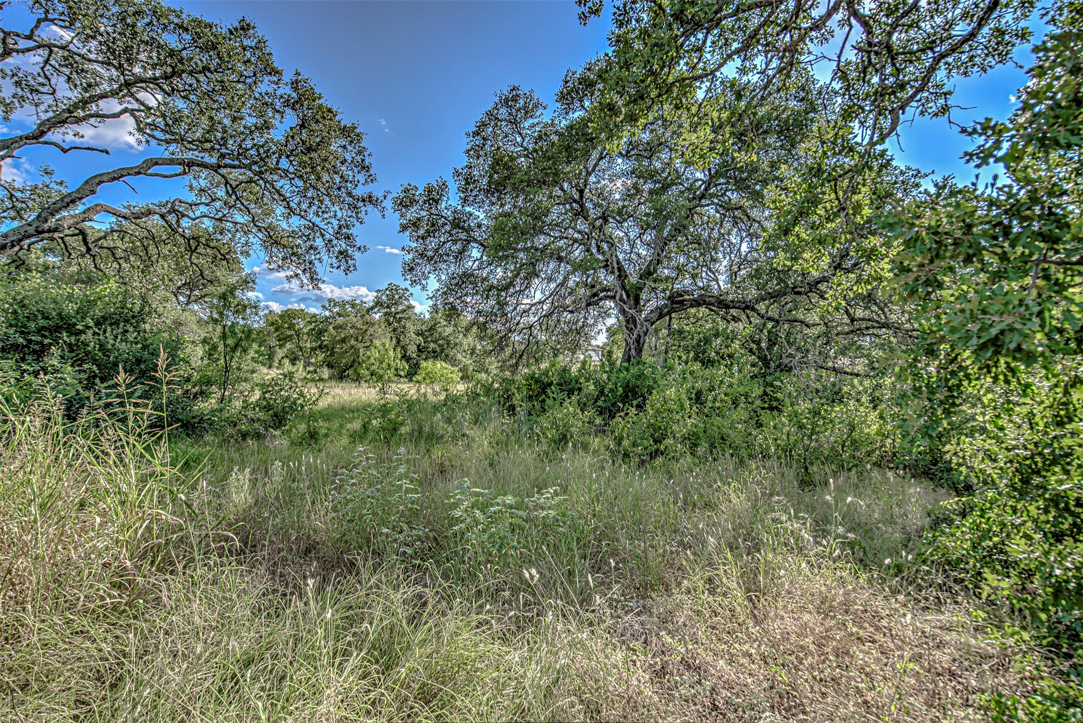 Lot 29-a Sierra Bluff Buchanan Dam TX 78609