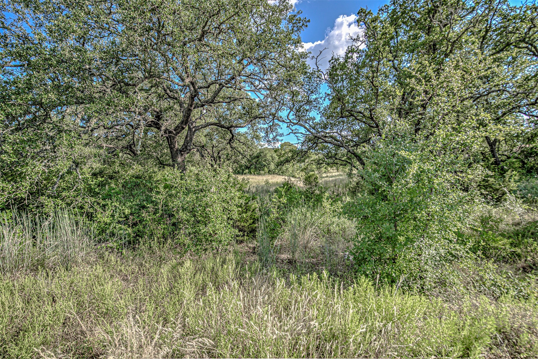 Lot 29-a Sierra Bluff Buchanan Dam TX 78609